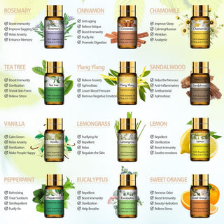 Diary of essential oils : Un voyage olfactif unique pour votre bien - être - Perle Cocon
